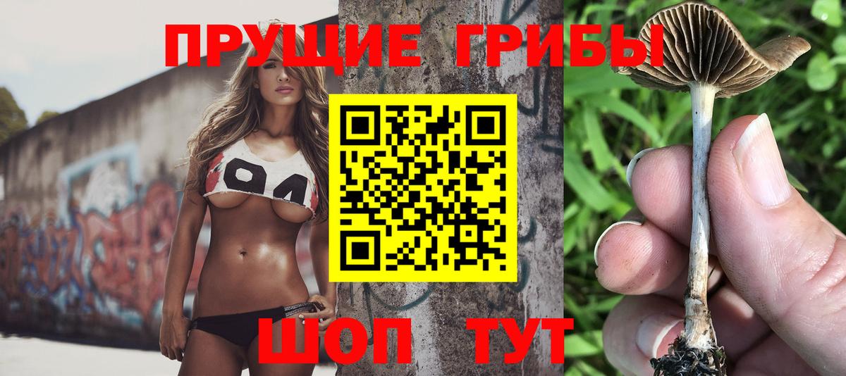 Галлюциногенные грибы MAGIC MUSHROOMS  Вход с VPN  Сегежа  Галлюциногенные грибы Psilocybine cubensis 